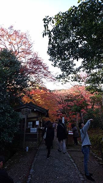 【京都│嵐山】賞楓推薦景點：京都嵐山，人生第一次賞楓去，您要