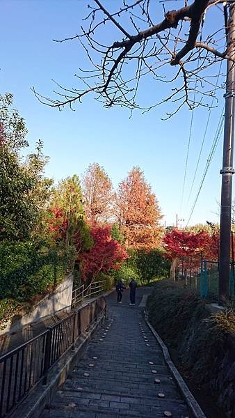 【京都│嵐山】賞楓推薦景點：京都嵐山，人生第一次賞楓去，您要