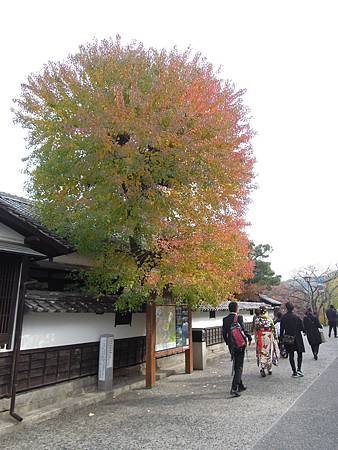 【日本｜岡山】住宿：LAZY HOUSE+倉敷美觀地區半日遊