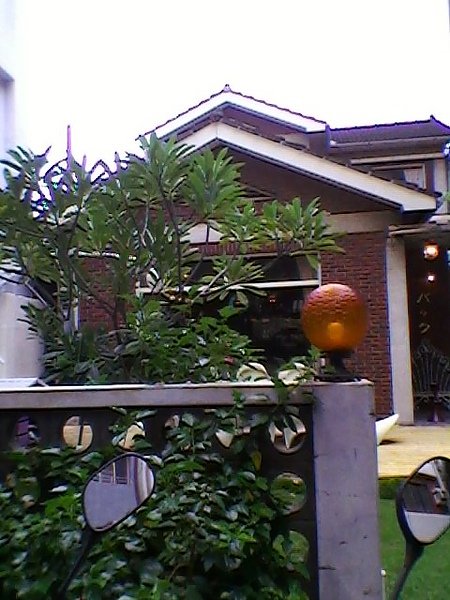 SP_A0588.jpg