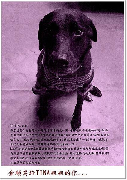 金順TO TINA.jpg