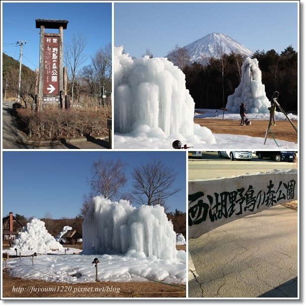 冬遊富士五湖 (13).jpg