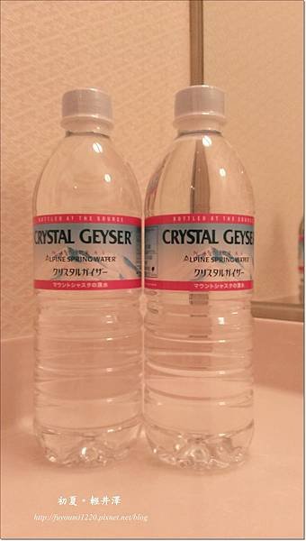 軽井沢浅間プリンスホテル (3).jpg