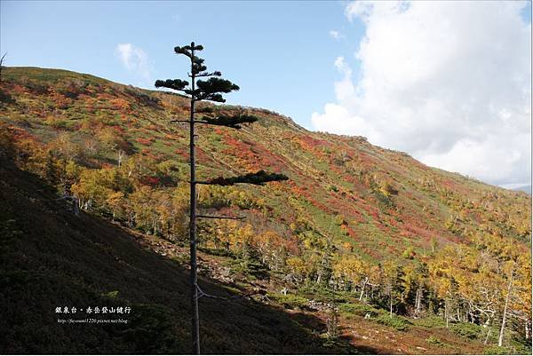 銀泉台赤岳健行 (9).JPG