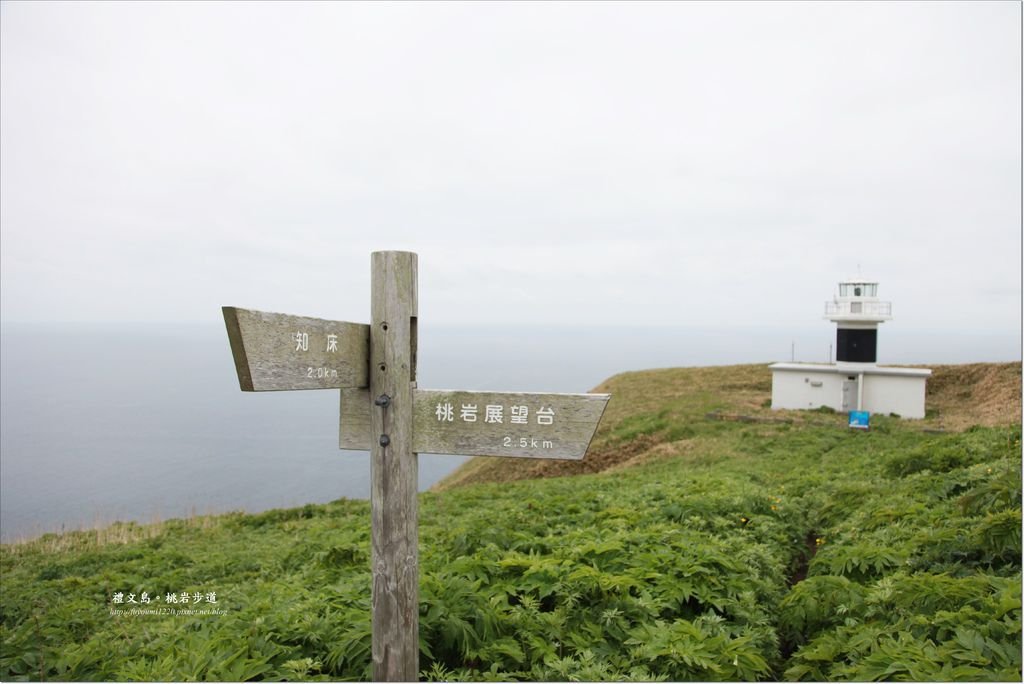 禮文島桃延步道 (11).JPG