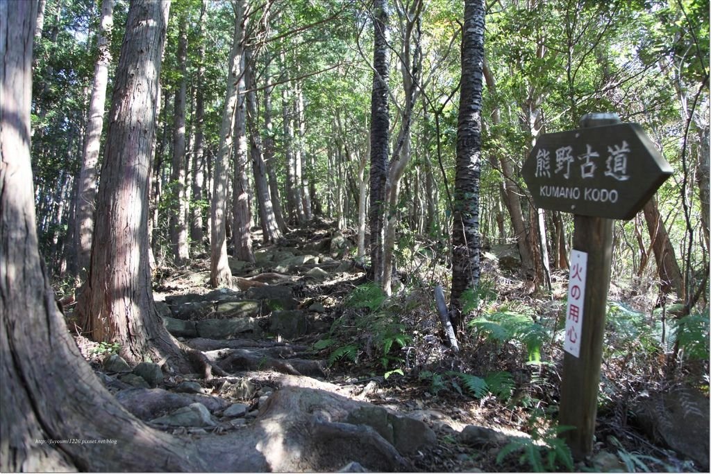 熊野古道中邊路 (9).JPG
