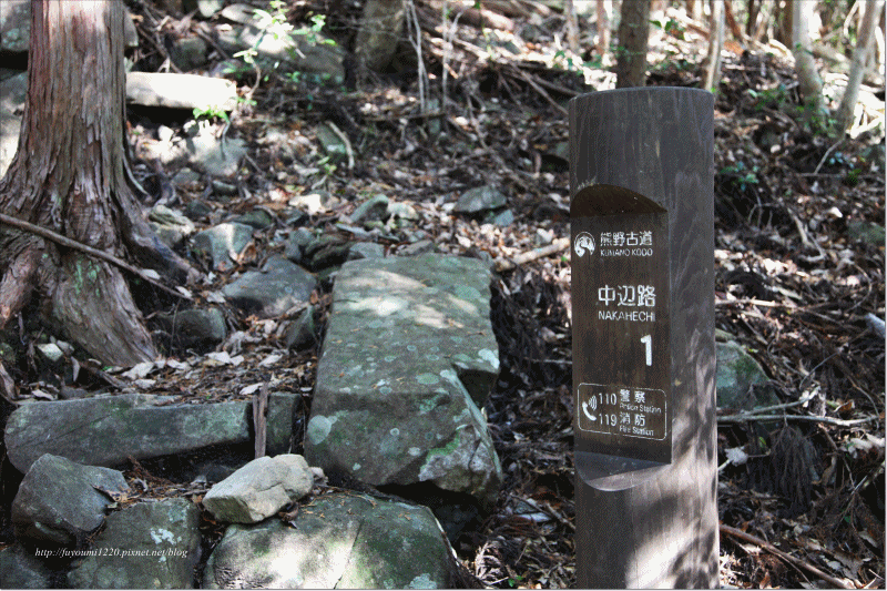 番號路標.gif
