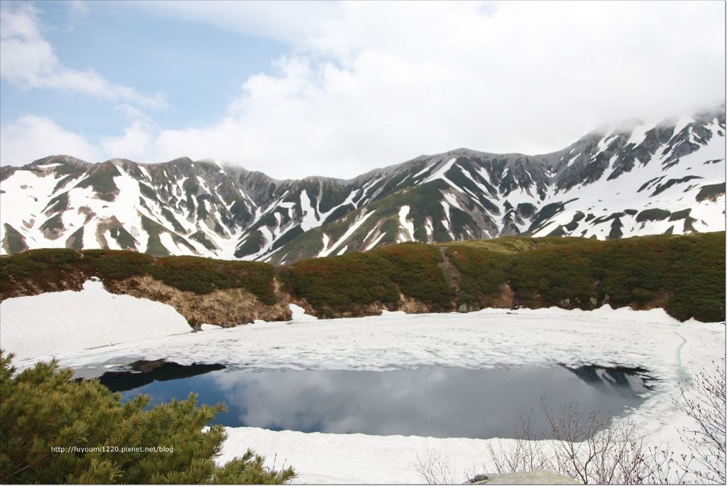 2016 初夏立山 (41).JPG