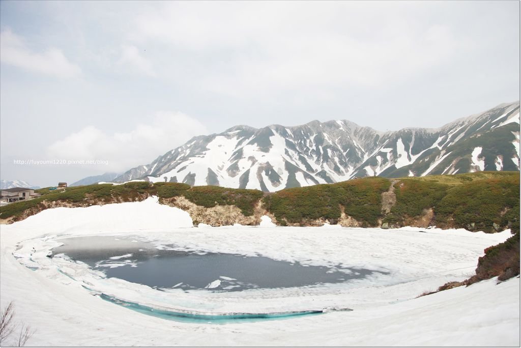 2016 初夏立山 (74).JPG