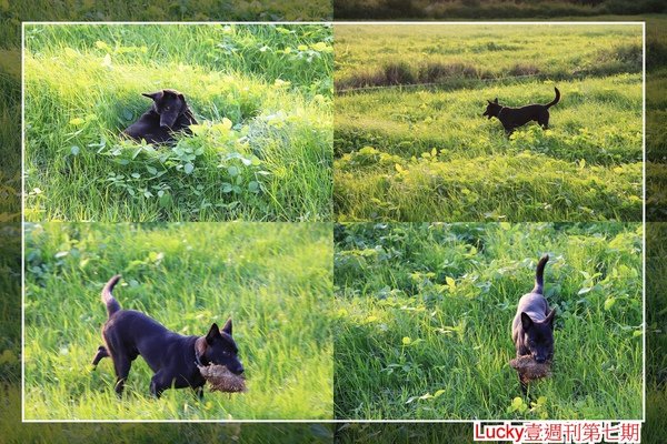 Lucky壹週刊第七期 (2).jpg