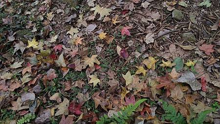 P_20141218_142700_BF.jpg
