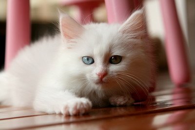 IMG_4782 mod_resize.JPG