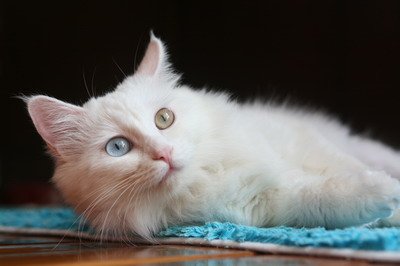 IMG_7321_resize.JPG
