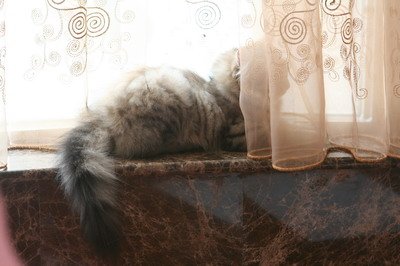IMG_7299_resize.JPG
