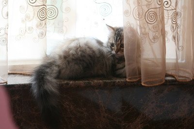 IMG_7300_resize.JPG