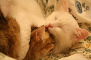 IMG_8459_resize.JPG