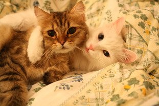 IMG_8486_resize.JPG