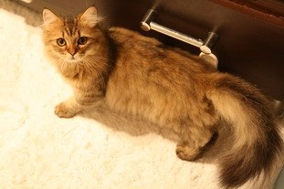 IMG_8501_resize.JPG