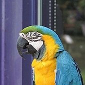 IMG_5415.JPG