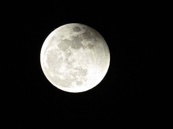 IMG_1127.JPG