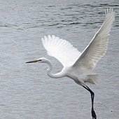 IMG_3209.jpg