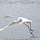 IMG_3207.jpg