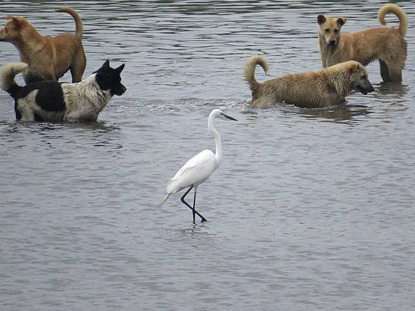 IMG_3192.JPG