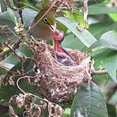 IMG_7569.JPG