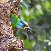 IMG_8431.JPG
