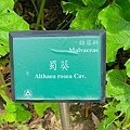 IMG_7709.JPG