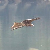 IMG_6587.JPG