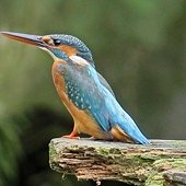 IMG_8444.JPG