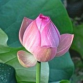IMG_1307.jpg