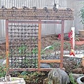 IMG_2515.JPG