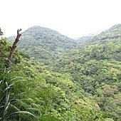 IMG_6286.JPG