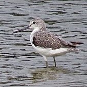 IMG_5980.jpg