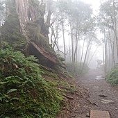 IMG_4868.jpg