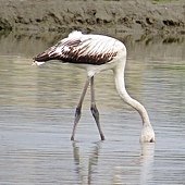 IMG_8349.jpg