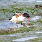 IMG_9033.jpg