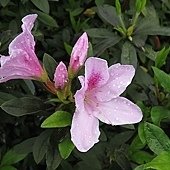 IMG_2683.jpg