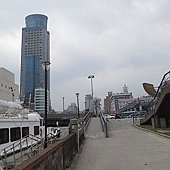 IMG_3981.jpg