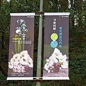 IMG_2974.jpg