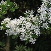 IMG_2890.jpg