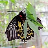 IMG_3836.jpg