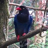 IMG_5453.jpg
