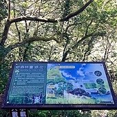 IMG_5527.jpg
