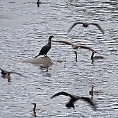 IMG_6898.jpg