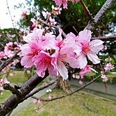 IMG_0964.jpg