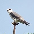 IMG_2634.jpg