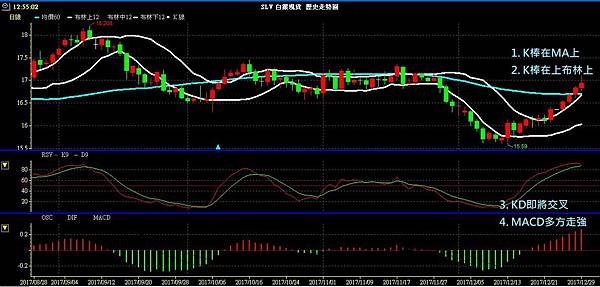 SLV XAG 白銀 貴金屬